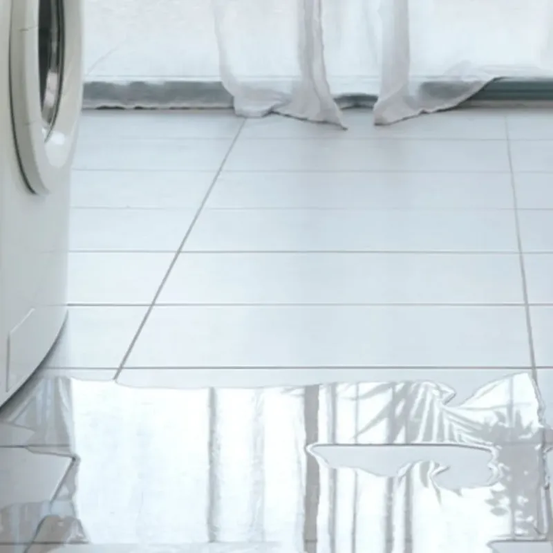Appliance Leak Cleanup in Orchards, WA