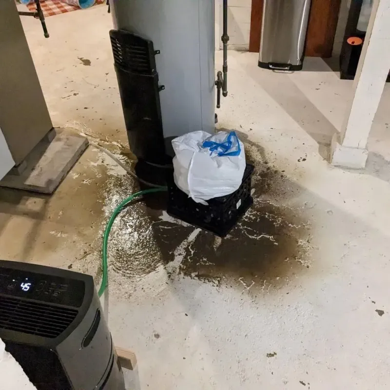 Sewage Backup Cleanup Service in Orchards, WA